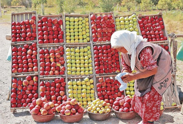 De acuerdo con el informe Sofi, la inseguridad alimentaria afecta más a las personas que viven en las zonas rurales. De acuerdo con el informe Sofi, la inseguridad alimentaria afecta más a las personas que viven en las zonas rurales.