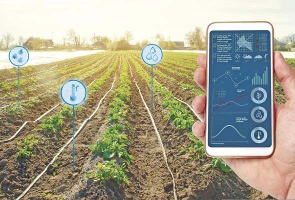Digitalización en la agricultura: transformación inminente del sistema agroalimentario Digitalización en la agricultura: transformación inminente del sistema agroalimentario
