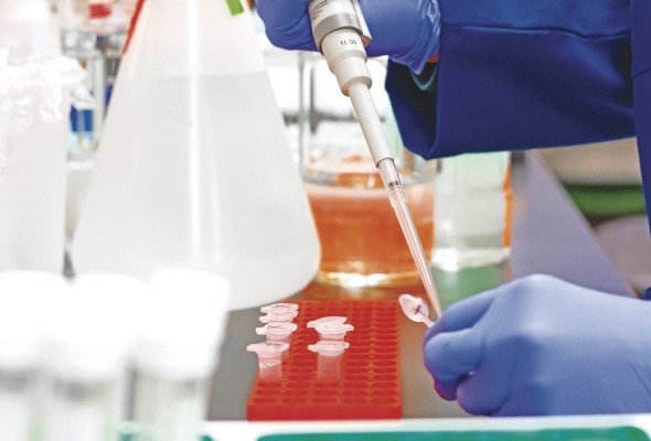 La biología sintética 'intenta explotar la misma biología, para conseguir soluciones de una forma autónoma', explica Schnell. La biología sintética 'intenta explotar la misma biología, para conseguir soluciones de una forma autónoma', explica Schnell.