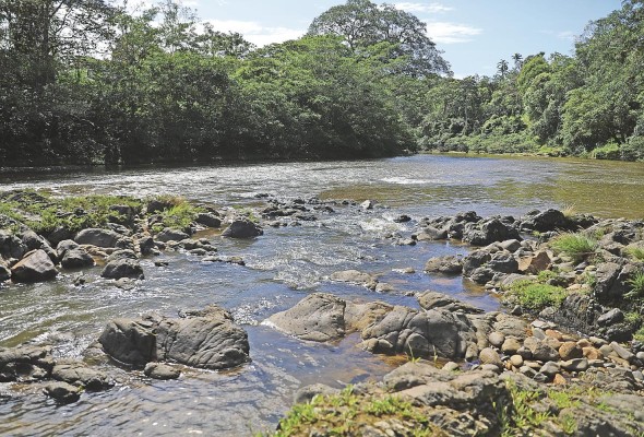 Las aguas del río San Juan, en el distrito Omar Torrijos Herrera, provincia de Colón. Este afluente es monitoreado. Las aguas del río San Juan, en el distrito Omar Torrijos Herrera, provincia de Colón. Este afluente es monitoreado.