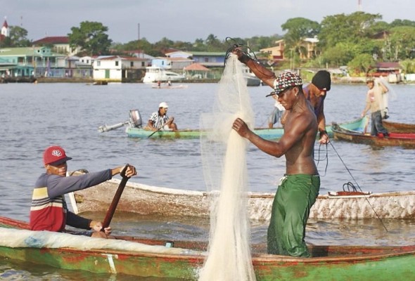 Los inventarios de la manifestaciones culturales inmateriales afrodescendientes para este proyecto deberán realizarse con la participación más amplia posible de las comunidades. Los inventarios de la manifestaciones culturales inmateriales afrodescendientes para este proyecto deberán realizarse con la participación más amplia posible de las comunidades.