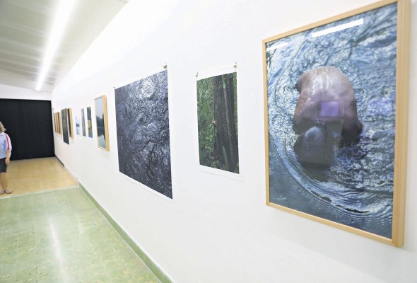 La exposición es basada en el libro homónimo escrito por Andrea Lino. La exposición es basada en el libro homónimo escrito por Andrea Lino.