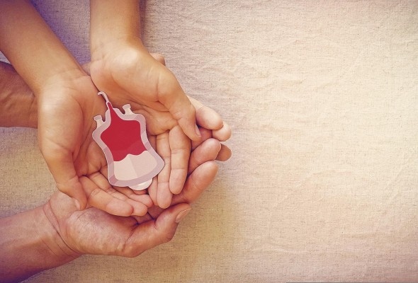 La Resolución 374, del 7 de septiembre de 2001, prohíbe a las personas LGBTIQ+ donar sangre. La Resolución 374, del 7 de septiembre de 2001, prohíbe a las personas LGBTIQ+ donar sangre.