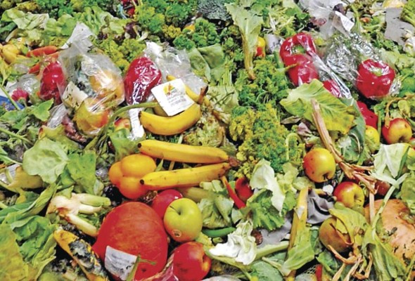 En el proceso de producción de los alimentos que se desperdician se utilizan 1400 millones de hectáreas, lo que equivale al 30% de las tierras agrícolas del mundo. En el proceso de producción de los alimentos que se desperdician se utilizan 1400 millones de hectáreas, lo que equivale al 30% de las tierras agrícolas del mundo.