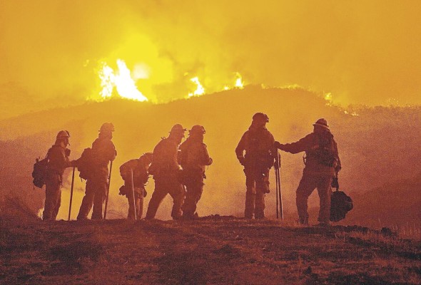 Los fuegos forestales causan deforestación, lo que destruye el hábitat de muchas especies. Los fuegos forestales causan deforestación, lo que destruye el hábitat de muchas especies.