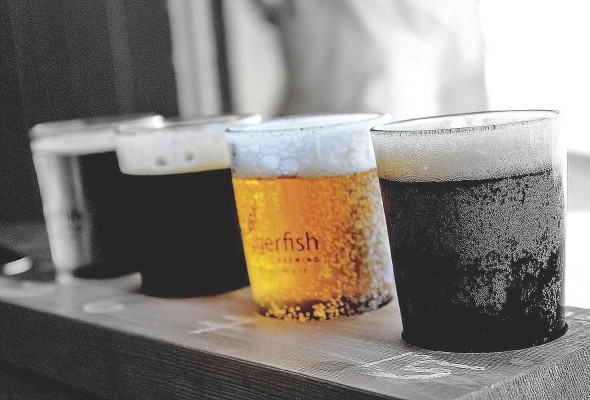 Parte del proceso de elaboración de la cerveza consiste en extraer el azúcar y el mosto. Parte del proceso de elaboración de la cerveza consiste en extraer el azúcar y el mosto.