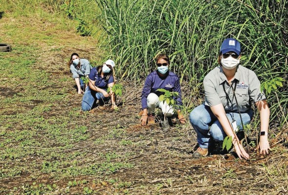 A fin de servir al medio ambiente, Panamá comenzó un plan de reforestación. A fin de servir al medio ambiente, Panamá comenzó un plan de reforestación.