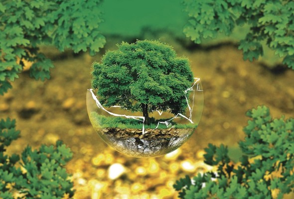 Los suelos recarbonizados pueden ser una solución frente a los retos del clima. Los suelos recarbonizados pueden ser una solución frente a los retos del clima.