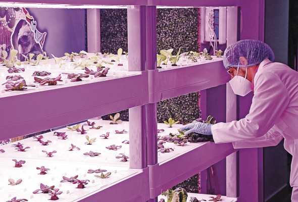 La salud, la capacidad agroalimentaria, el cambio climático y la transformación digital son algunas de las áreas prioritarias para Panamá La salud, la capacidad agroalimentaria, el cambio climático y la transformación digital son algunas de las áreas prioritarias para Panamá