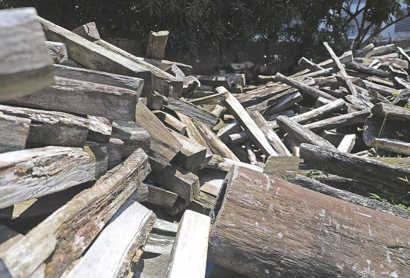 MiAmbiente ha decomisado más de 3 mil piezas (tucas y otros objetos) de cocobolo en los últimos dos años. Aún no se ha destinado un uso para esta madera. MiAmbiente ha decomisado más de 3 mil piezas (tucas y otros objetos) de cocobolo en los últimos dos años. Aún no se ha destinado un uso para esta madera.
