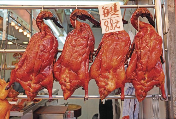 Por muchos años hemos visto los patos asados colgando en las vitrinas de los restaurantes tradicionales. Pida uno, para variar el sabor. No se arrepentirá. Si decide mantenerse con el pollo, entonces pida uno pero no asado, sino blanqueado y con salsa de jengibre. Por muchos años hemos visto los patos asados colgando en las vitrinas de los restaurantes tradicionales. Pida uno, para variar el sabor. No se arrepentirá. Si decide mantenerse con el pollo, entonces pida uno pero no asado, sino blanqueado y con salsa de jengibre.