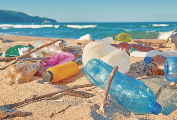 Uno de los grandes desafíos para controlar la contaminación del mar y de las zonas costeras es entender el ecosistema marino-costero. Uno de los grandes desafíos para controlar la contaminación del mar y de las zonas costeras es entender el ecosistema marino-costero.