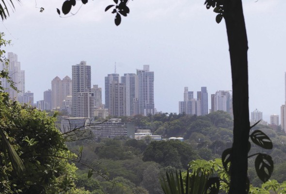 Vista de la Ciudad de Panamá desde el Parque Natural Metropolitano. Vista de la Ciudad de Panamá desde el Parque Natural Metropolitano.