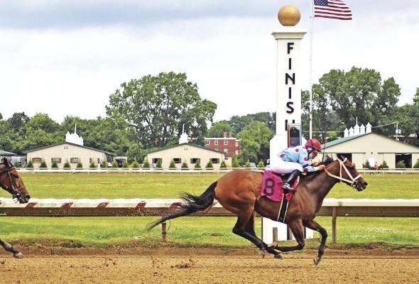 Correa ha competido en 283 carreras en Thistledown. Correa ha competido en 283 carreras en Thistledown.