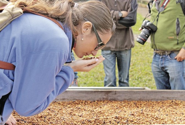Visita al beneficio de café Visita al beneficio de café