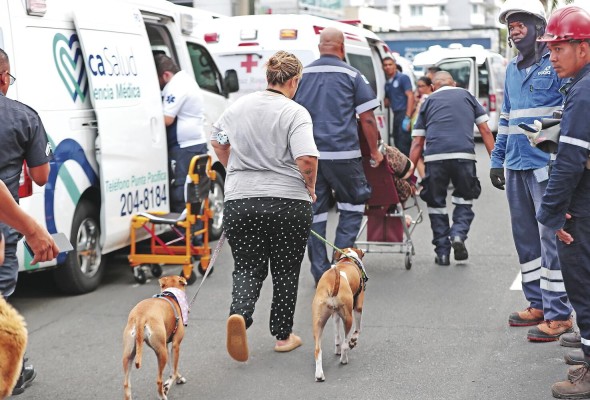 Las mascotas también fueron puestas a salvo. Las mascotas también fueron puestas a salvo.