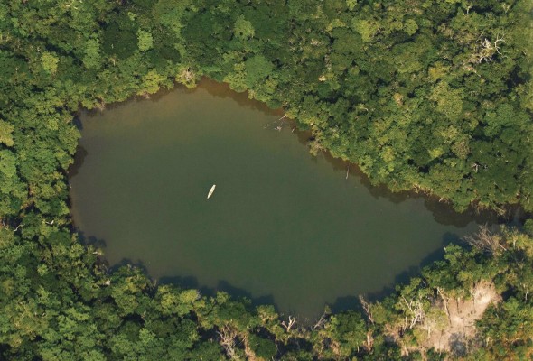 Vista aérea de una zona de la selva amazónica, en Porto Velho, Rondonia (Brasil). Vista aérea de una zona de la selva amazónica, en Porto Velho, Rondonia (Brasil).