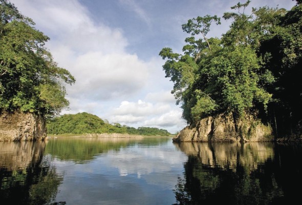 Se pueden apreciar desde bosques nubosos hasta secos, húmedos, y el lago Alajuela. Se pueden apreciar desde bosques nubosos hasta secos, húmedos, y el lago Alajuela.