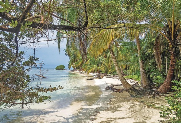 Las playas de Panamá requieren muchas veces de una rigurosa limpieza. Las playas de Panamá requieren muchas veces de una rigurosa limpieza.