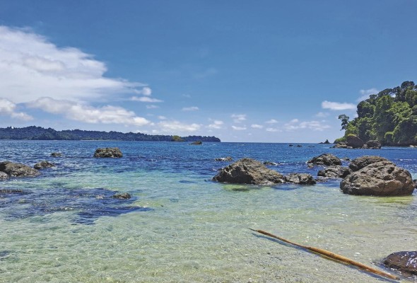 Algunos turistas están dispuestos a pagar más por admirar y proteger un sitio natural. Esos ingresos pueden financiar el monitoreo y mantenimiento de las playas certificadas en el PN Coiba. Algunos turistas están dispuestos a pagar más por admirar y proteger un sitio natural. Esos ingresos pueden financiar el monitoreo y mantenimiento de las playas certificadas en el PN Coiba.