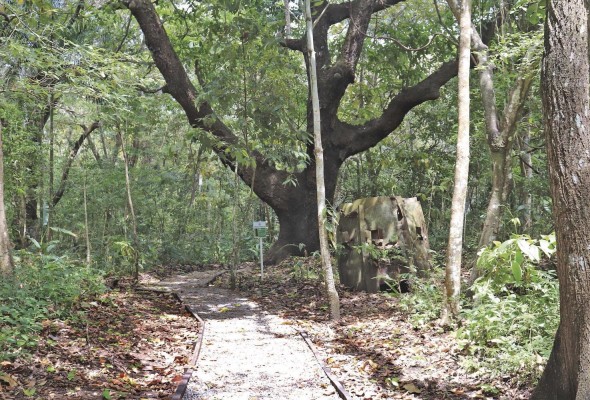 Sendero que conduce al corazón del Parque Natural Metropolitano. Sendero que conduce al corazón del Parque Natural Metropolitano.