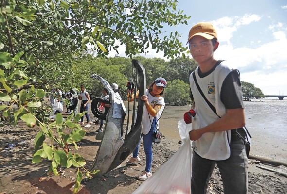 Más de 800 voluntarios, en limpieza de playa Más de 800 voluntarios, en limpieza de playa