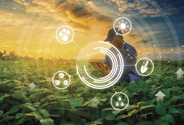 Con la agricultura climáticamente inteligente es posible acelerar las inversiones obteniendo una mayor productividad. Con la agricultura climáticamente inteligente es posible acelerar las inversiones obteniendo una mayor productividad.