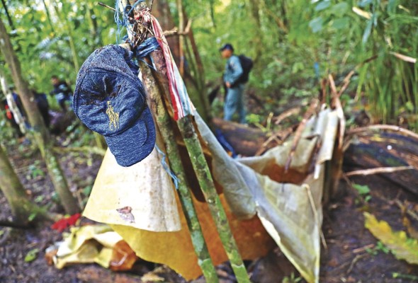 Restos de un campamento en el Parque Soberanía de donde se extrajo cocobolo. MiAmbiente no tiene datos sobre la cantidad de árboles en pie que hay en los bosques protegidos por ley. Restos de un campamento en el Parque Soberanía de donde se extrajo cocobolo. MiAmbiente no tiene datos sobre la cantidad de árboles en pie que hay en los bosques protegidos por ley.