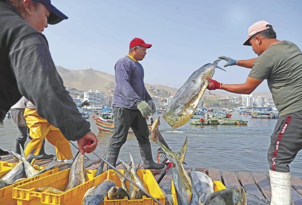 Pescadores con sus productos en el puerto de pescadores artesanales de Ancón, al norte de Lima (Perú). Pescadores con sus productos en el puerto de pescadores artesanales de Ancón, al norte de Lima (Perú).