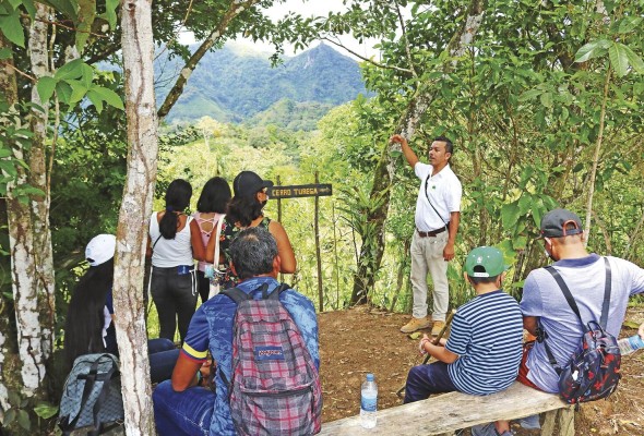 Según la OMT, promover el turismo en zonas rurales distribuye los beneficios del sector de forma más amplia entre las regiones y su población. Según la OMT, promover el turismo en zonas rurales distribuye los beneficios del sector de forma más amplia entre las regiones y su población.