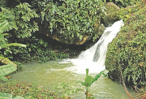 Los visitantes podrán disfrutar de una gran variedad de cascadas y ríos dentro de los parques. Los visitantes podrán disfrutar de una gran variedad de cascadas y ríos dentro de los parques.