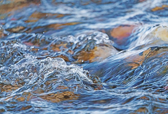 El desafío con la contaminación en las aguas de los ríos es que los contaminantes son elementos que no siempre son visibles, porque algunos no tiñen el agua. El desafío con la contaminación en las aguas de los ríos es que los contaminantes son elementos que no siempre son visibles, porque algunos no tiñen el agua.