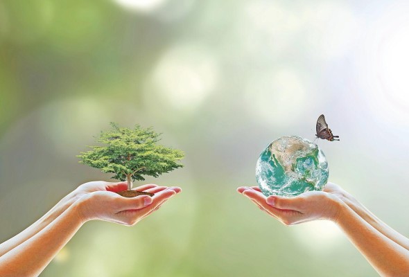 La biodiversidad sustenta la prosperidad económica de más de la mitad del PIB mundial, lo que es el equivalente a aproximadamente $44 billones. La biodiversidad sustenta la prosperidad económica de más de la mitad del PIB mundial, lo que es el equivalente a aproximadamente $44 billones.