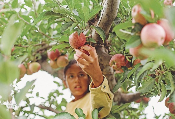 El contacto con la naturaleza permite minimizar la ansiedad y propicia el logro de metas. El contacto con la naturaleza permite minimizar la ansiedad y propicia el logro de metas.
