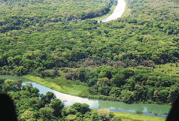 El país cuenta con 183,800 hectáreas de manglar, según el mapa de cobertura boscosa y de uso de la tierra de 2021 El país cuenta con 183,800 hectáreas de manglar, según el mapa de cobertura boscosa y de uso de la tierra de 2021