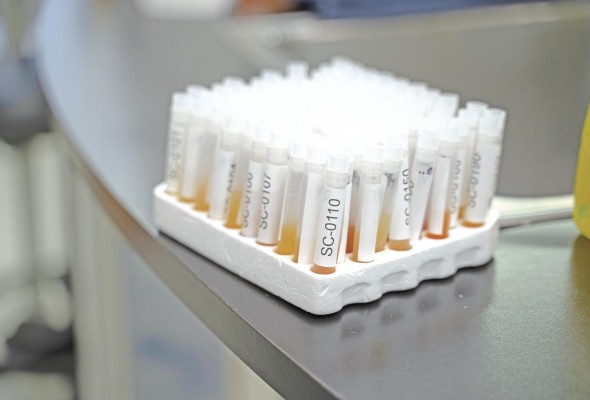 La pandemia evidenció la necesidad de ser autosuficientes en diagnósticos. La pandemia evidenció la necesidad de ser autosuficientes en diagnósticos.