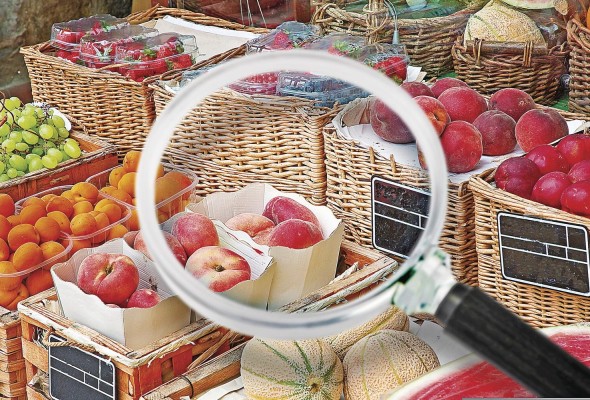 'Una Salud', iniciativa de la FAO, ha demostrado avances en el tema de seguridad alimentaria y apoyo a la transición sistemática de producción de alimentos 'Una Salud', iniciativa de la FAO, ha demostrado avances en el tema de seguridad alimentaria y apoyo a la transición sistemática de producción de alimentos