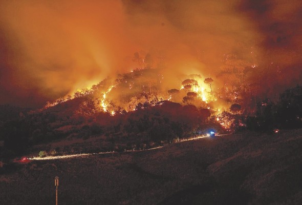 Muchos de los incendios forestales son producto del calentamiento global. Muchos de los incendios forestales son producto del calentamiento global.