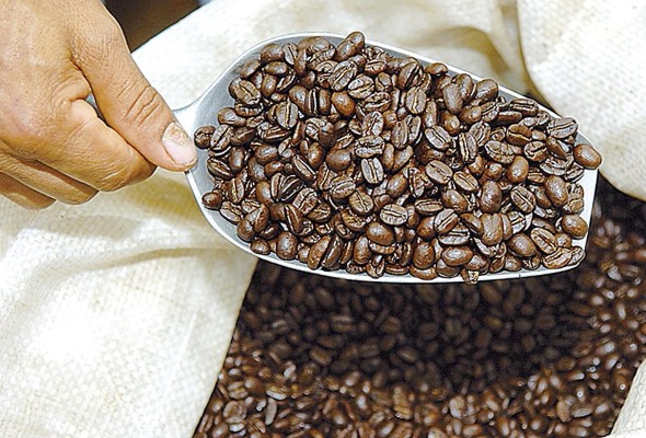 Las exportaciones de café presentaron una marcada volatilidad de -12,6%. Las exportaciones de café presentaron una marcada volatilidad de -12,6%.