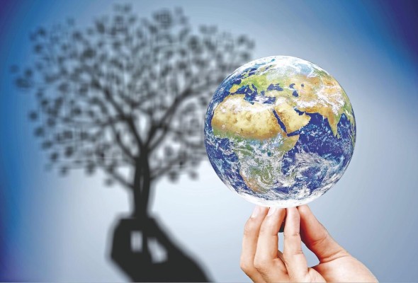 Las agendas ambientales y de desarrollo sostenible en el mundo son claves en los avances para el diseño de indicadores. Las agendas ambientales y de desarrollo sostenible en el mundo son claves en los avances para el diseño de indicadores.