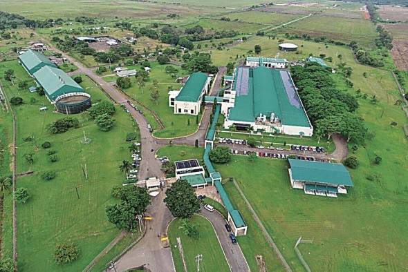 Sede de la Comisión Panamá-Estados Unidos para la Erradicación y Prevención del Gusano Barrenador del Ganado Sede de la Comisión Panamá-Estados Unidos para la Erradicación y Prevención del Gusano Barrenador del Ganado