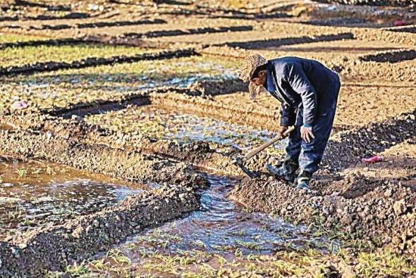 La FAO trabaja para promover planteamientos coherentes en relación con la gestión sostenible del suelo, la tierra y el agua. La FAO trabaja para promover planteamientos coherentes en relación con la gestión sostenible del suelo, la tierra y el agua.