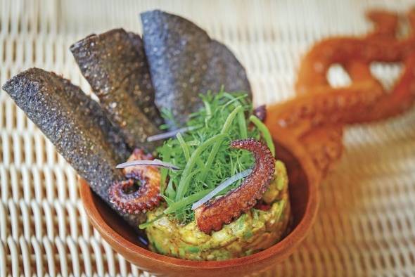 El maíz es esencial en la gastronomía de México. El maíz es esencial en la gastronomía de México.