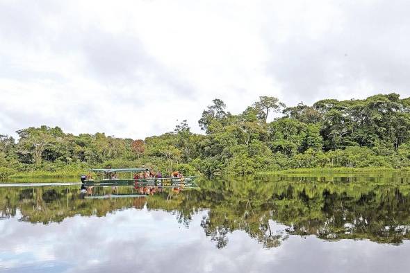 En este espacio de 20.000 hectáreas de selva virgen, los delfines rosados son los reyes En este espacio de 20.000 hectáreas de selva virgen, los delfines rosados son los reyes