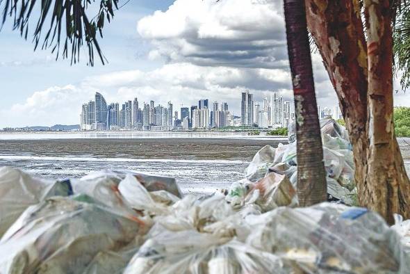 Más de 150 mil bolsas de desechos son recolectadas en los manglares. Más de 150 mil bolsas de desechos son recolectadas en los manglares.
