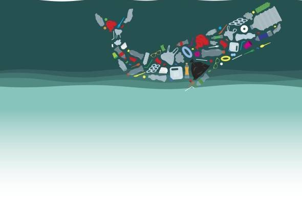 Contaminación por plástico: un desafío ambiental para gobiernos y empresas Contaminación por plástico: un desafío ambiental para gobiernos y empresas