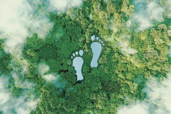 Panamá cumplió el sobregiro ecológico el 17 de julio, colocándolo en crédito con el medio ambiente Panamá cumplió el sobregiro ecológico el 17 de julio, colocándolo en crédito con el medio ambiente