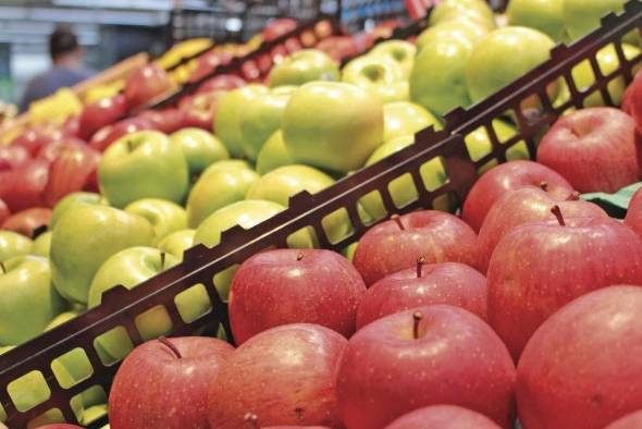 La desinfección de los alimentos es crucial para evitar el contagio. La desinfección de los alimentos es crucial para evitar el contagio.