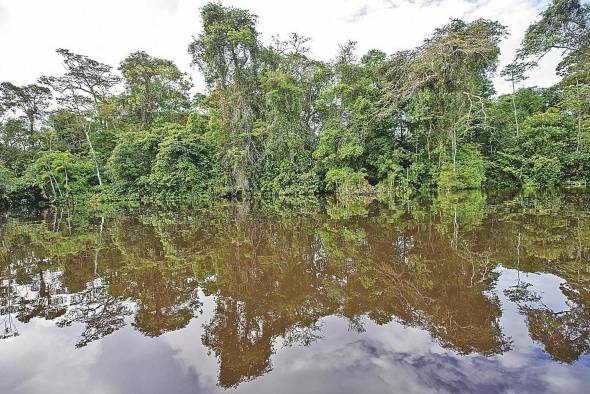 El lugar permite apreciar a los delfines, los deja nadar, juguetear y alimentarse incluso de la mano de los visitantes El lugar permite apreciar a los delfines, los deja nadar, juguetear y alimentarse incluso de la mano de los visitantes