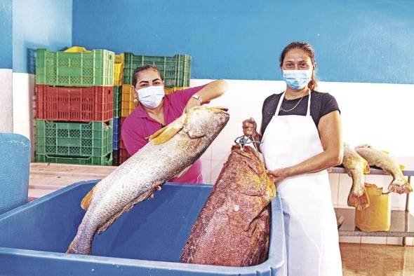 Actualmente, el grupo de agricultores está gestionando el apoyo institucional para capacitaciones sobre comercialización y aperturas de nuevos mercados. Actualmente, el grupo de agricultores está gestionando el apoyo institucional para capacitaciones sobre comercialización y aperturas de nuevos mercados.